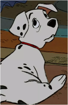 Rolly's image