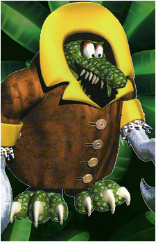 Krook's image