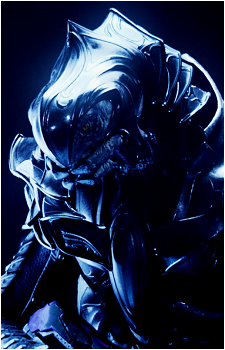 The Arbiter's image