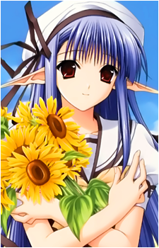 Nerine's image