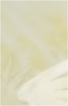 Kohaku {Wish}