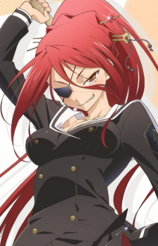 Arashi Nikaidou