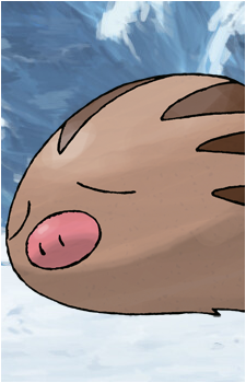 Swinub's image