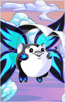 Meerca