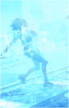Image 40