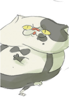 Judd