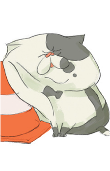 Judd