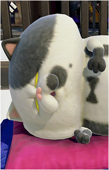Judd's image