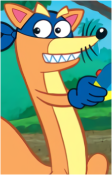 Swiper's image