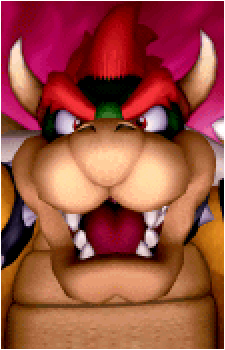 Image 51 of Bowser