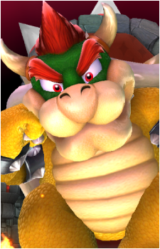 Image 14 of Bowser