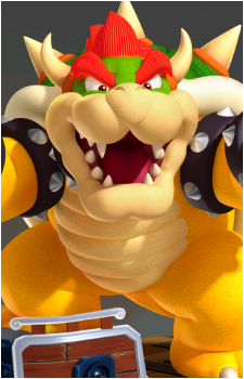 Image 15 of Bowser