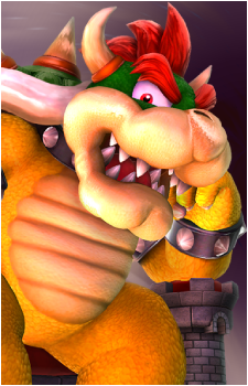 Image 13 of Bowser