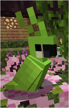 Parrot