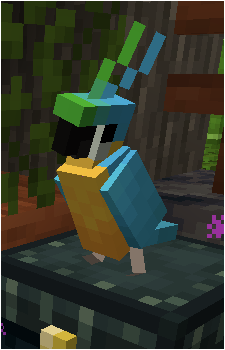 Parrot