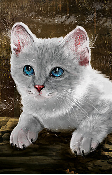 Cloudtail's image