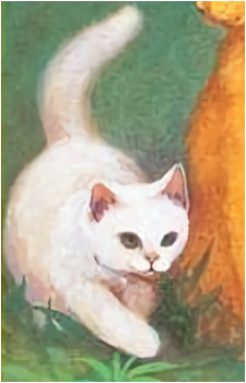 Cloudtail
