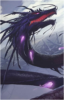 Kokusho's image