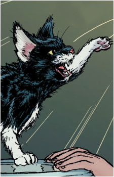 Alfred the Cat's image