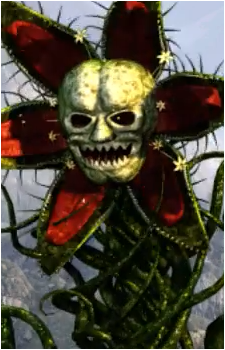 Snare's image