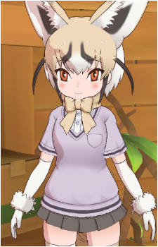 Rüppell's Fox