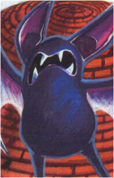 Image 25