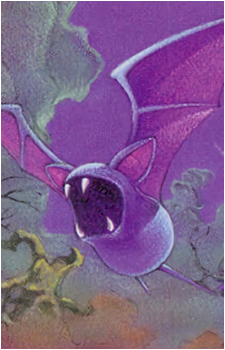 Image 17