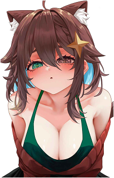 Meica05