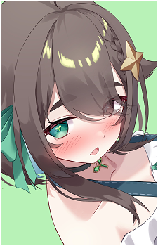Meica05