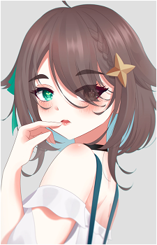Meica05