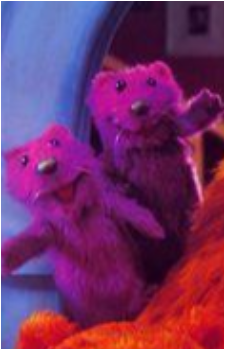 Pip and Pop