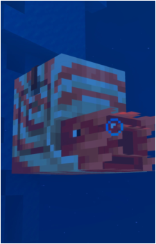 Nautilus's image