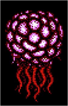 Jellyfish {BM}'s image
