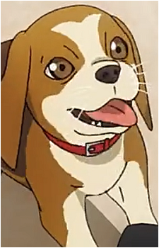 Daisy {TTFW}'s image