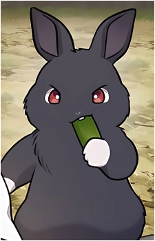 Black Bunny