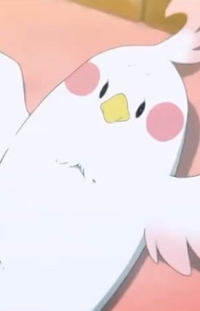 Dera Mochimazzi