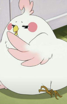 Dera Mochimazzi
