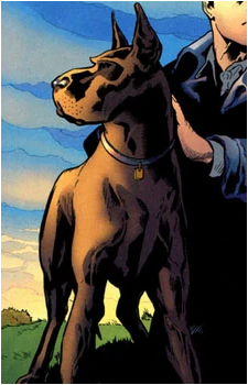 Titus the Dog's image