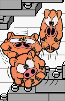 The Three Little Pigheads
