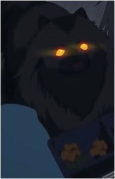 Image 4 Image 4
