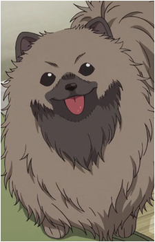 Tanuki