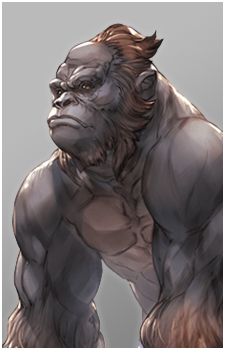 Gorilla Image