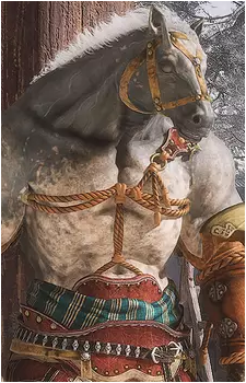 Ma Tianba's image