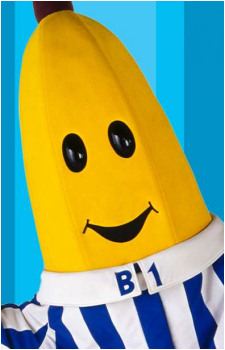 B1