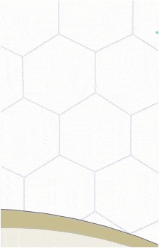 Gatomon