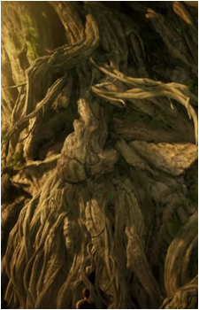 Lord Evergreen's image