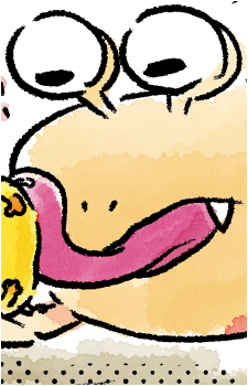 Image 20