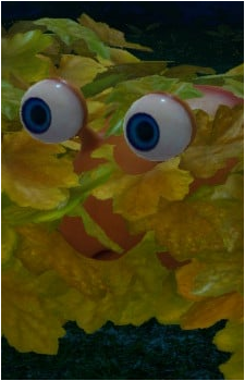 Image 34