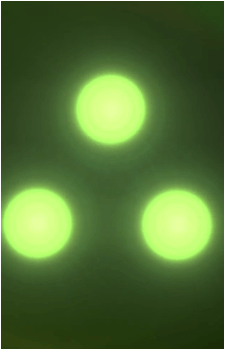 Image 31