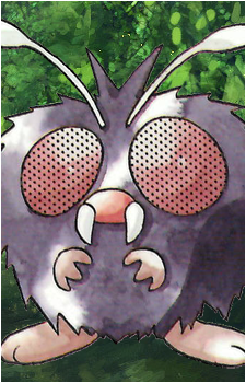 Venonat